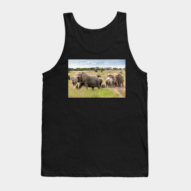 Elephant Family, Ngorongoro Concession, Tanzania Tank Top by AndrewGoodall